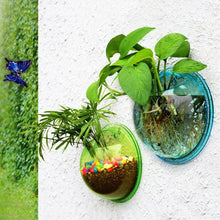 Lade das Bild in den Galerie-Viewer, Wall Mounted Fish Bowl-Acrylic
