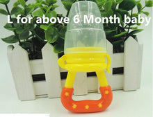 Load image into Gallery viewer, Baby Fruit Feeder
