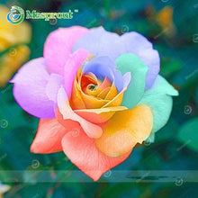 Lade das Bild in den Galerie-Viewer, Super Rare Rainbow Rose Seeds - 100 Seed Pack
