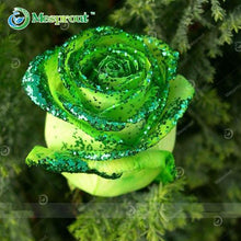 Lade das Bild in den Galerie-Viewer, Super Rare Rainbow Rose Seeds - 100 Seed Pack
