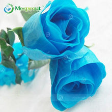 Lade das Bild in den Galerie-Viewer, Super Rare Rainbow Rose Seeds - 100 Seed Pack
