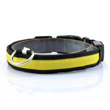 Lade das Bild in den Galerie-Viewer, LED Pet Collar

