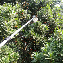 Load image into Gallery viewer, Fruit Picker
