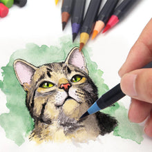 Lade das Bild in den Galerie-Viewer, Watercolor Brush Pens - 20 Piece Set
