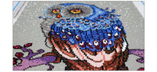 Load image into Gallery viewer, Diamond Painting
