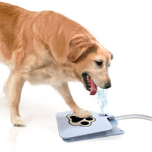 Load image into Gallery viewer, Dog Water Fountain
