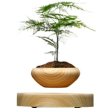 Lade das Bild in den Galerie-Viewer, Wooden Levitating Planter
