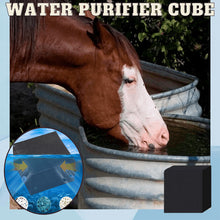 Lade das Bild in den Galerie-Viewer, Water Purifier Cube (🎉SPECIAL OFFER 50% OFF)🎉 MBFFT
