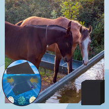 Lade das Bild in den Galerie-Viewer, Water Purifier Cube (🎉SPECIAL OFFER 50% OFF)🎉 MBFFT
